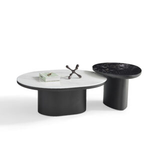 NT8156 product view
