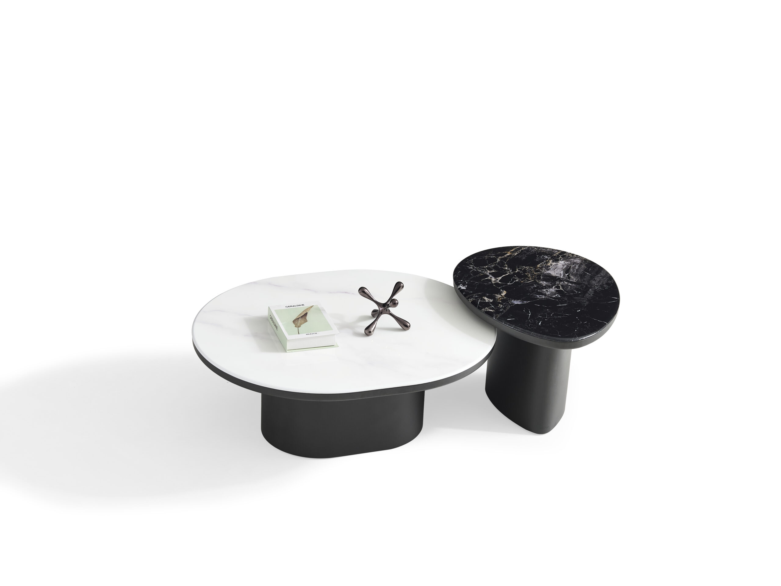 NT8156 product view