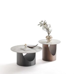 NT859S product view