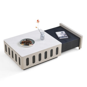 NTM602 product view