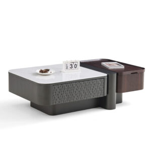 NTM603 product view