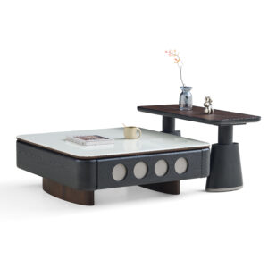 NTM609 product view