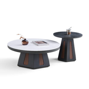 NTM626 product view